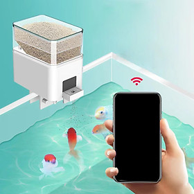 Automatic Fish Feeder App Control Food Feeding for Everyday Outdoor