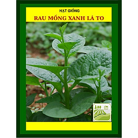 Mua Gói 50 Gram Hạt Mồng Tơi Lá Xanh Rạng Đông - Shop Hạt Giống Ba Miền Chịu Nhiệt