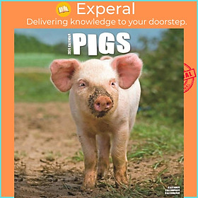 Hình ảnh Sách - Pigs Calendar 2024  Square Farm Animal Wall Calendar - 16 Month by  (UK edition, paperback)