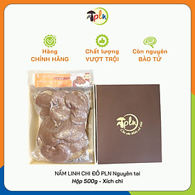 NẤM LINH CHI ĐỎ PLN - Nguyên tai. Hộp 500g - Xích chi