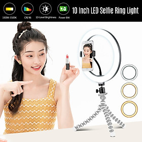 Đèn LED vòng chụp ảnh mini để bàn  10inch 3300K-5500K có thể thay đổi độ sáng