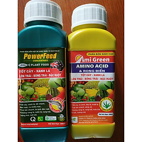 COMBO POWER FEED + AMI GREEN giúp lớn trái, bóng trái, đặc ruột - chai 300 ml