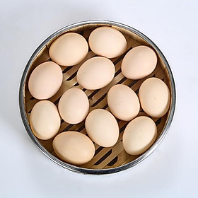 Mua Xửng tre hấp dimsum  hấp bánh vành inox