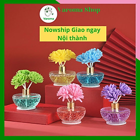 Mua Lọ nước hoa tinh dầu thơm phòng GALAXY khử mùi hoa gỗ tán hương sang trọng KT27