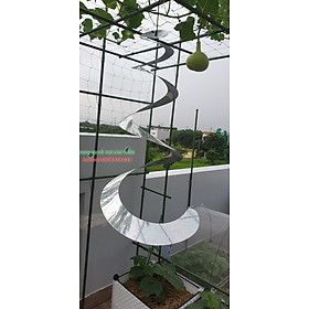 Mua CUỘN ĐUỔI CHIM PHÁ VƯỜN CÂY