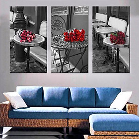 Tranh Canvas treo tường nghệ thuật | Bộ 3 bức chữ nhật| HLB_067