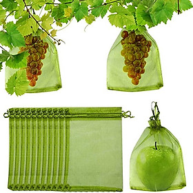 Túi bảo vệ trái cây 50 % bảo vệ thực vật khỏi dịch hại với túi lưới dây rút