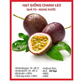 Hạt Giống Cây Chanh Leo - Trái To Mọng - Gói 20 Hạt