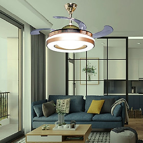 Mua Đèn quạt trần cao cấp DQ5001