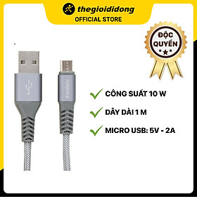 Mua Cáp Micro 1 m Xmobile Paladin Bạc - Hàng chính hãng