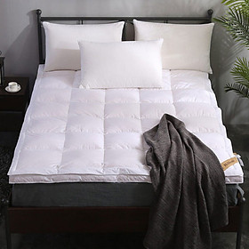 Mua Tấm Làm Mềm Nệm Lông Ngỗng - PA9012 (160 x 200 cm)