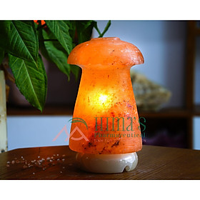 Mua Đèn Đá Muối Hình Nấm Đế Cẩm Thạch