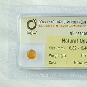 Mua Đá quý opal tự nhiên mài giác tròn