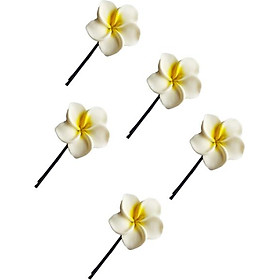 Sét cặp ghim đính hoa sứ dễ thương (KAH134)