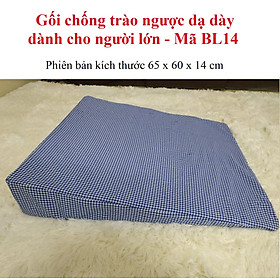 Mua Gối chống trào ngược dạ dày dành cho người lớn (Mã BL14 ) - kích thước 65 x 60 x 14 cm - Phiên bản tiết kiệm giá rẻ