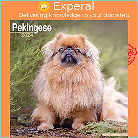 Sách - Pekingese Calendar 2024  Square Dog Breed Wall Calendar - 16 Month by  (UK edition, paperback)