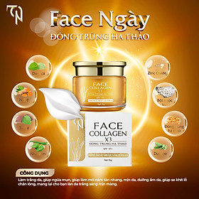Kem Face Ngày Và Đêm Đông Trùng Hạ Thảo Collagen x3 Mỹ Phẩm Đông Anh Chính Hãng 15g Dưỡng Ẩm Trắng Da Ngăn Ngừa Lão Hóa