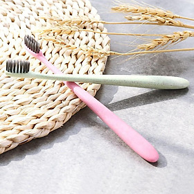 Mua Bàn chải đánh răng làm từ than tre hoạt tính và lúa mạch-không hộp 2254 shop hoang yến