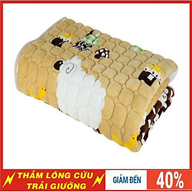 Thảm nỉ nhung trải giường 3 lớp cực ấm( đủ kich thước)