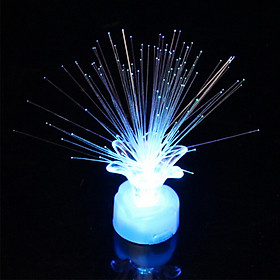 Đèn LED Đêm Trang Trí