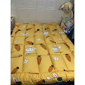 Mua TOPPER - TẤM LÀM MỀM ĐỆM HÀN QUỐC HỌA TIẾT CAROT