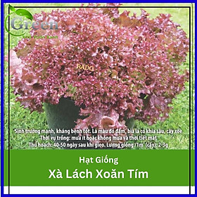 Mua Hạt Giống Xà Lách Xoăn Tím