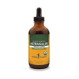 Herb Pharm Certified Organic Astragalus Liquid Extract for Immune System Support - 4 Fluid Ounce