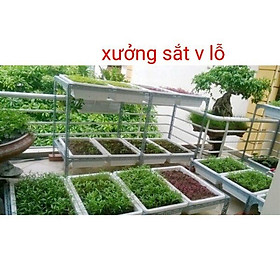 Mua khung kệ sắt trồng rau sạch 2 tầng dùng 8 khay nhựa với kích thước khay 68x43cm