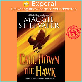Hình ảnh Sách - Call Down the Hawk (Dreamer Trilogy, Book 1), Volume 1 by Maggie Stiefvater (US edition, hardcover)