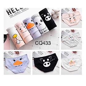 Mua SET 5C CHIP HS (MẪU MỚI) CHO BG