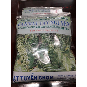 0,5 KG HẠT GIỐNG CÀ PHÊ XANH LÙN   [ TRƯỜNG SƠN TS5 ] [ HẠT TUYỂN CHỌN BAO NẢY MẦM - kèm hướng dẫn ươm] [J&T Express] [ CÂY GIỐNG 3 MIỀN STORE ]