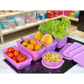 BỘ HỘP TRỮ MÁT FRESHIA TÍM SET 5