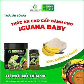 Thức ăn bò sát Iguana Baby GREENABC vị chuối dùng cho Iguana từ mới nở cho đến giúp tăng kích thước, lên màu đẹp, phòng chống MBD, teo đuôi – Hộp 230g