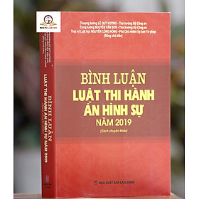 Bình luận Luật Thi Hành Án Hình Sự Năm 2019