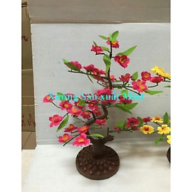 Mua Cây hoa mai đào cao 50cm - Cây hoa trang trí Tết