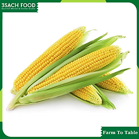 Bắp Mỹ (350gr/ trái) - Chuẩn An toàn Vietgap (Tỷ lệ chênh lệch 10%)