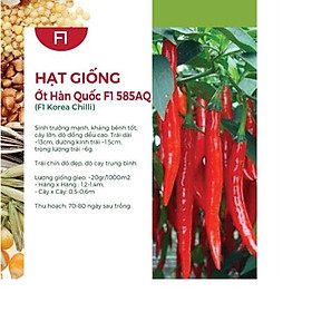 Hạt Giống Ớt Hàn Quốc F1 585AQ ( 3 gói)