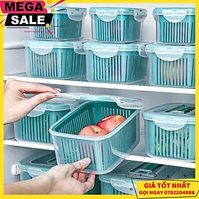 Mua Sét 5 Hộp Đựng Đồ Tủ Lạnh Đa Năng 2 Lớp Cao Cấp Có Nắp Đạy Đựng Thực Phẩm ( Màu Xanh Nhạt ) - Giao Hàng Toàn Quốc