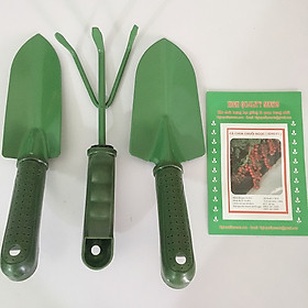 Bộ Dụng Cụ Làm Vườn 3 Món ( Thép Xanh ) - Tặng Kèm Gói Hạt Giống Cà Chua Chuỗi Ngọc
