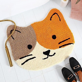 Mua Thảm chùi chân cao cấp
