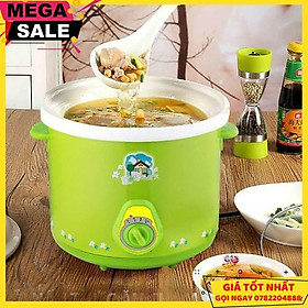 Mua Nồi Điện Nấu Cháo Hầm Thịt Kho Cá Đa Năng 2.5L - Giao Hàng Toàn Quốc