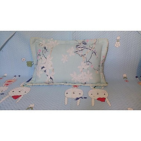 Mua VỎ GỐI HÀNG COTTON CAO CẤP