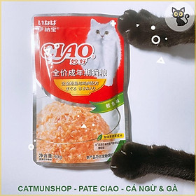 Pate Ciao cho mèo mọi lứa tuổi