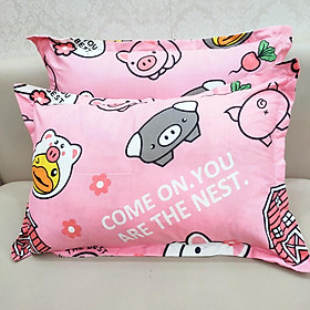 Mua Vỏ gối đầu cotton poly màu ngẫu nhiên kích thước 45x65