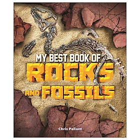 Hình ảnh My Best Book Of Rocks And Fossils