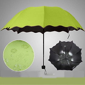 Mua Ô dù nở hoa Ma Thuật Gặp Nước Nở Hoa