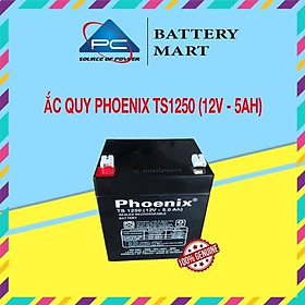 Ắc Quy PHOENIX TS1250 12V-5Ah - Chuyên Dùng Cho Nguồn Dự Phòng (UPS, Inverter, ...)