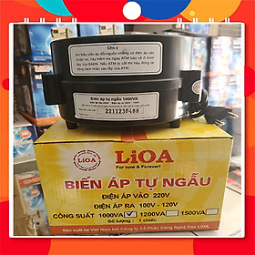 Biến áp đổi nguồn hạ áp 1p - 1.0kva lioa dn010