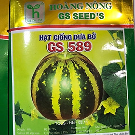Mua HẠT GIỐNG DƯA BỞ GS589 gói 10gr