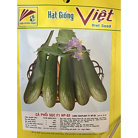 Hạt Giống Cà Phổi Sọc Lem F1 NP - 83